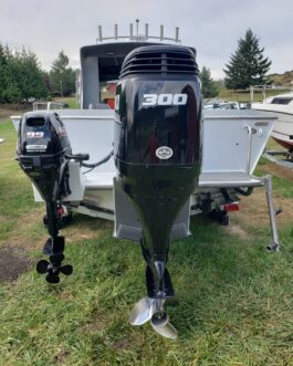 Suzuki DF300AP Outboard Motor